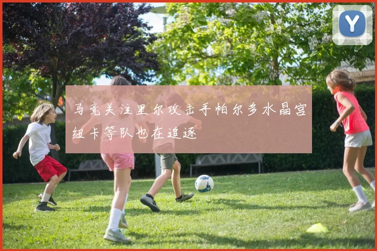 马竞关注里尔攻击手帕尔多水晶宫纽卡等队也在追逐