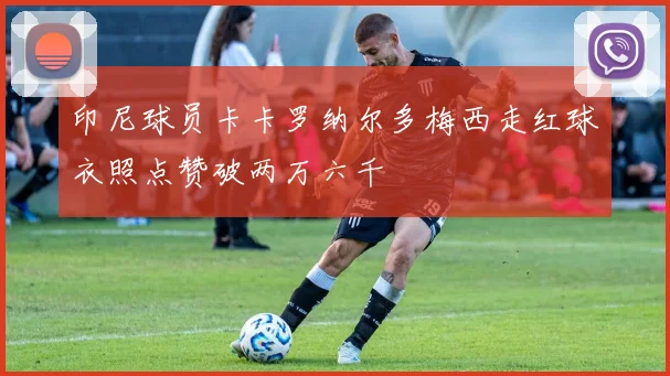 印尼球员卡卡罗纳尔多梅西走红球衣照点赞破两万六千