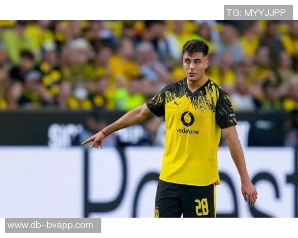 多特蒙德对切尔西召回安塞尔米诺表示不满冬窗或不进行引援补强